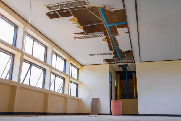 Best Flooded house restoration  in Delevan, NY