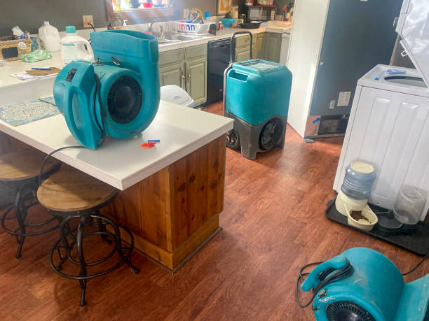 Best Residential water damage restoration  in Delevan, NY