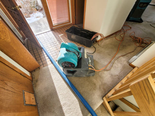 Best Water damage restoration mold remediation  in Delevan, NY