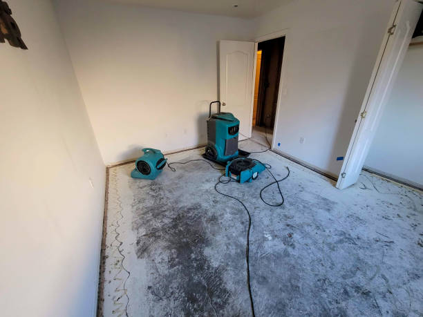 Best Fire Damage Restoration  in Delevan, NY