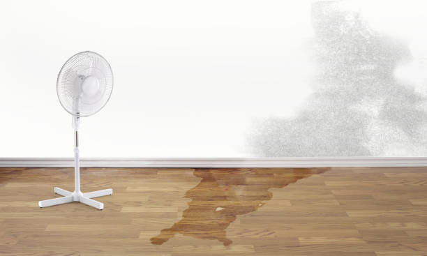 Best Residential water damage restoration  in Delevan, NY