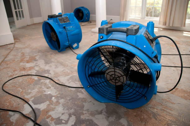 Best Water damage restoration specialists  in Delevan, NY