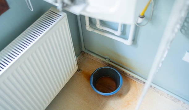 Best Water damage restoration insurance claims  in Delevan, NY