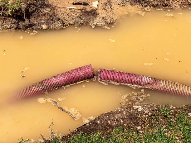 Best 24/7 water damage repair  in Delevan, NY